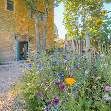 Bed & Breakfast Comfort - Ancien Cuvage Des Pierres Doree *